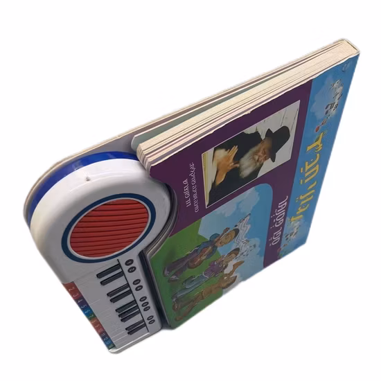 Bouton poussoir personnalisé pour enfants, livres sonores de musique fantastique, livres de Piano